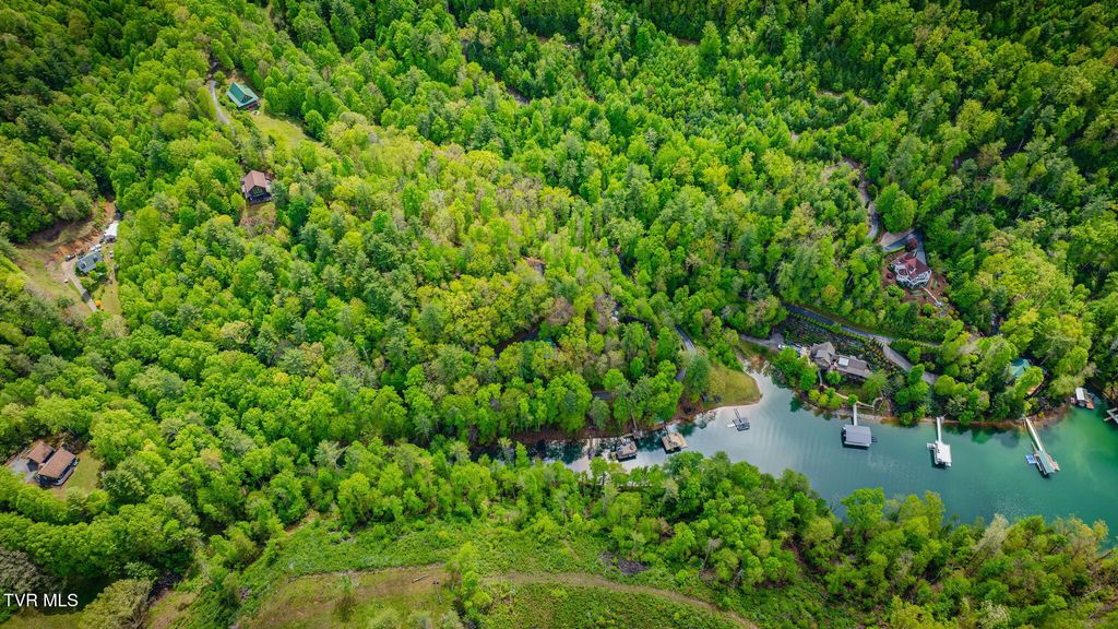 Photo of Tbd Cove Ridge Road, Butler, TN 37640 (MLS # 9995046)