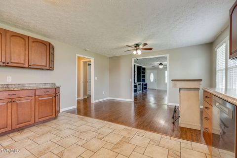 Tiny photo for 4221 Maplewood Street, Kingsport, TN 37660 (MLS # 9984165)