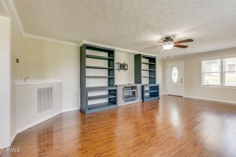 Tiny photo for 4221 Maplewood Street, Kingsport, TN 37660 (MLS # 9984165)