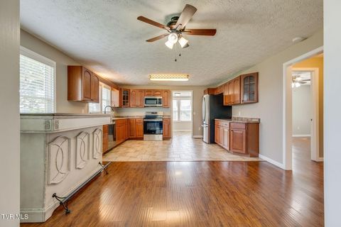 Tiny photo for 4221 Maplewood Street, Kingsport, TN 37660 (MLS # 9984165)