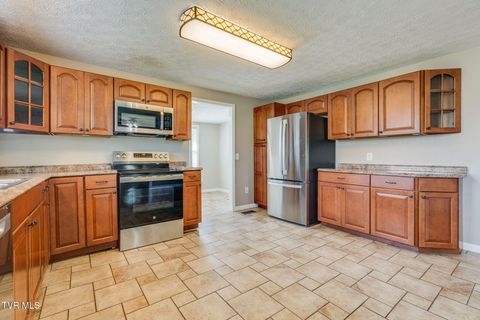Tiny photo for 4221 Maplewood Street, Kingsport, TN 37660 (MLS # 9984165)