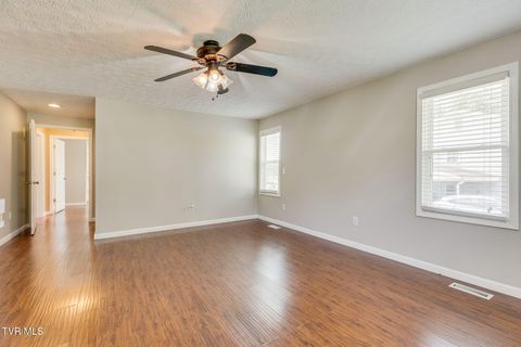Tiny photo for 4221 Maplewood Street, Kingsport, TN 37660 (MLS # 9984165)