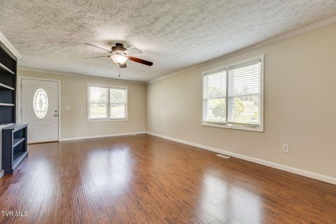 Tiny photo for 4221 Maplewood Street, Kingsport, TN 37660 (MLS # 9984165)
