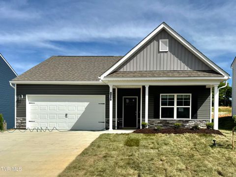 Homes For Sale - 210 Artist Avenue Ave<br/> Washington County County, Johnson City, TN 37615