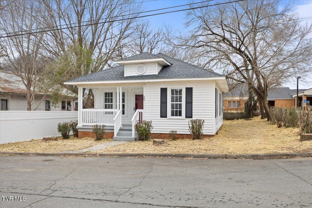 Photo of 205 Perry Street, Elizabethton, TN 37643 (MLS # 9989627)