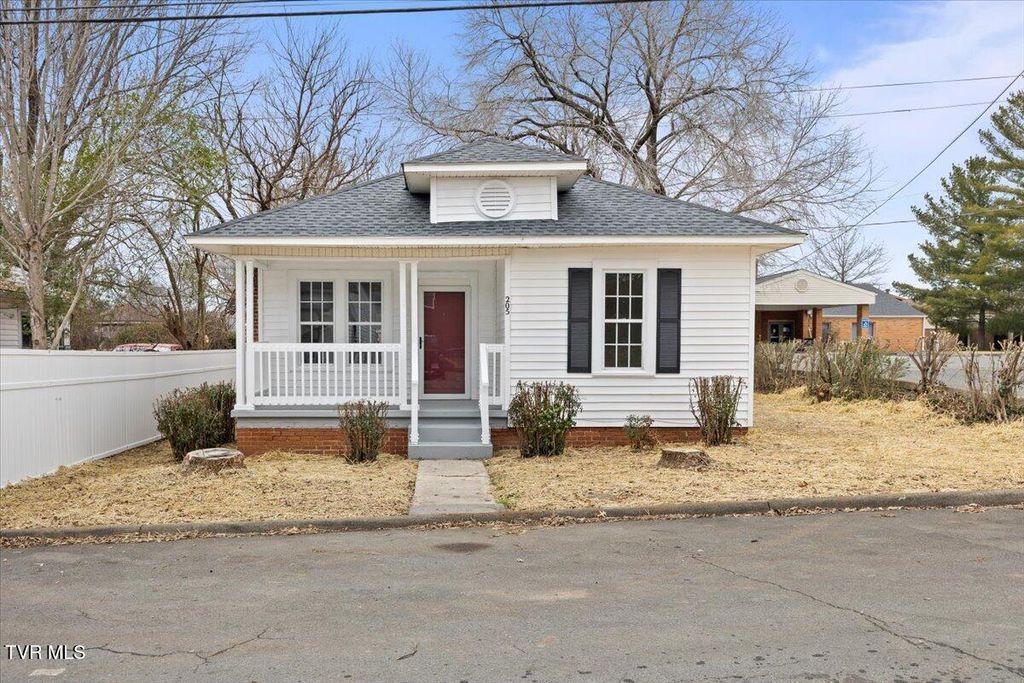 Photo of 205 Perry Street, Elizabethton, TN 37643 (MLS # 9989627)