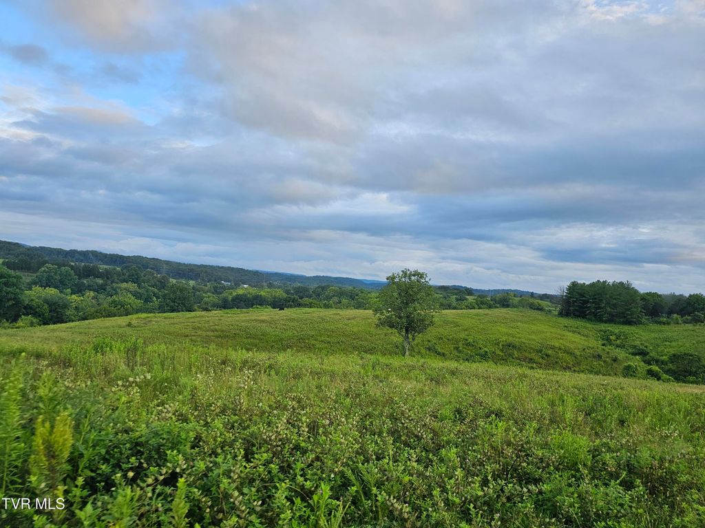 Photo of 000 Highway 66, Rogersville, TN 37857 (MLS # 9988019)