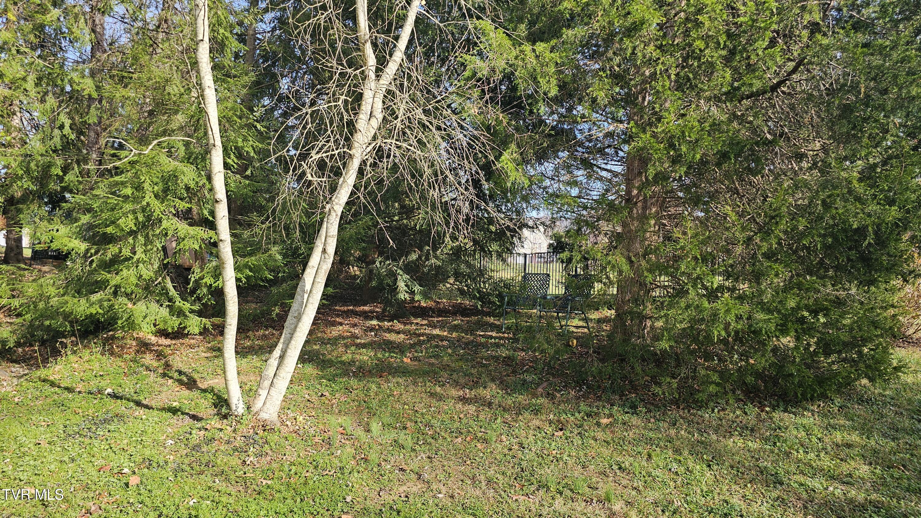 904 Mountainview Road, Erwin, Tennessee image 12