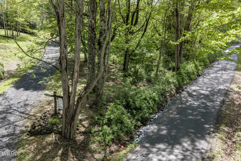 Photo of 0 Heaton Creek Road, Roan Mountain, TN 37687 (MLS # 9994564)
