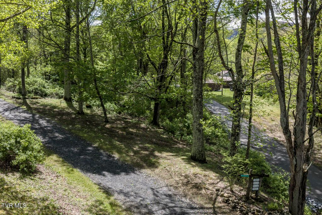 Photo of 0 Heaton Creek Road, Roan Mountain, TN 37687 (MLS # 9994564)