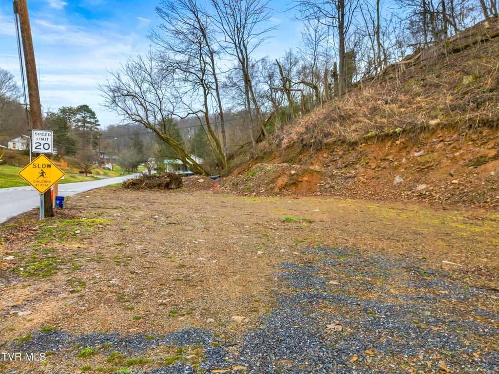 Photo of 517 Tuggle Hill Road, Rogersville, TN 37857 (MLS # 9991849)