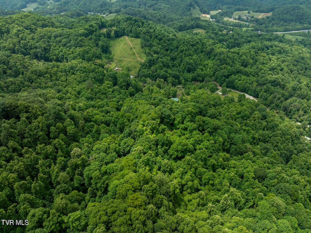 Photo of Tbd Whitehead Hollow Road, Roan Mountain, TN 37687 (MLS # 9985814)
