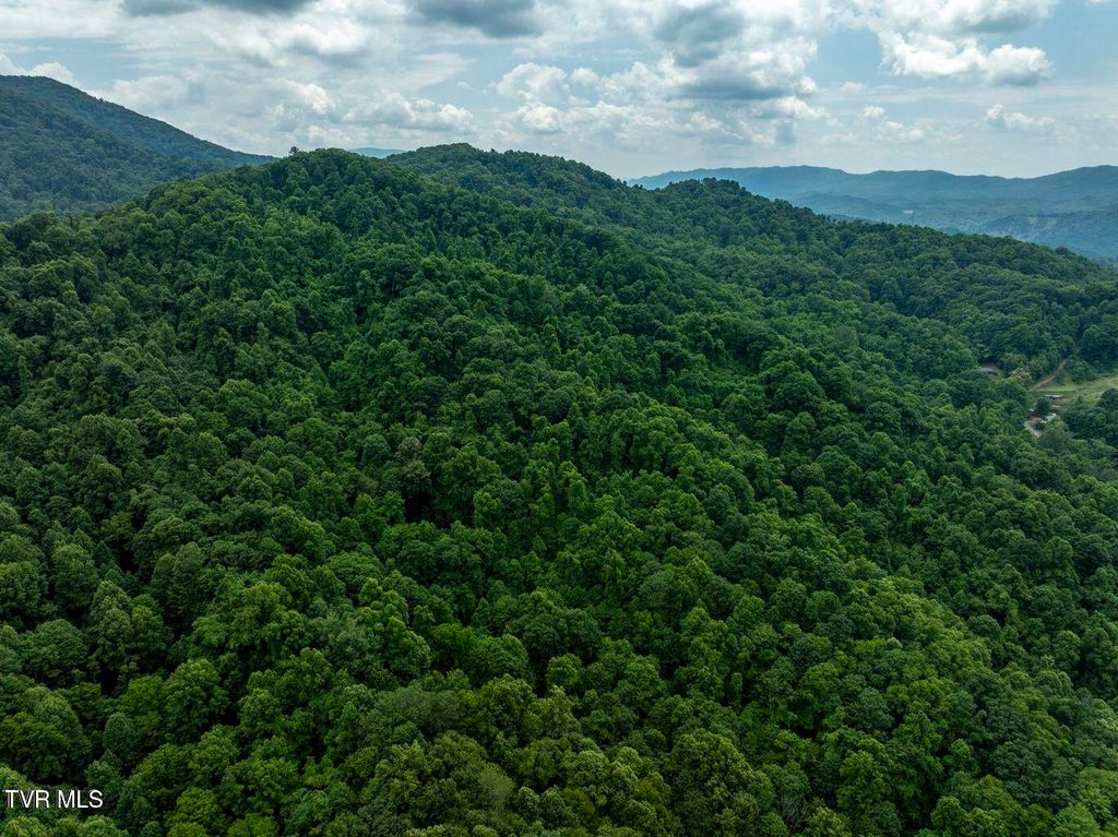 Photo of Tbd Whitehead Hollow Road, Roan Mountain, TN 37687 (MLS # 9985814)
