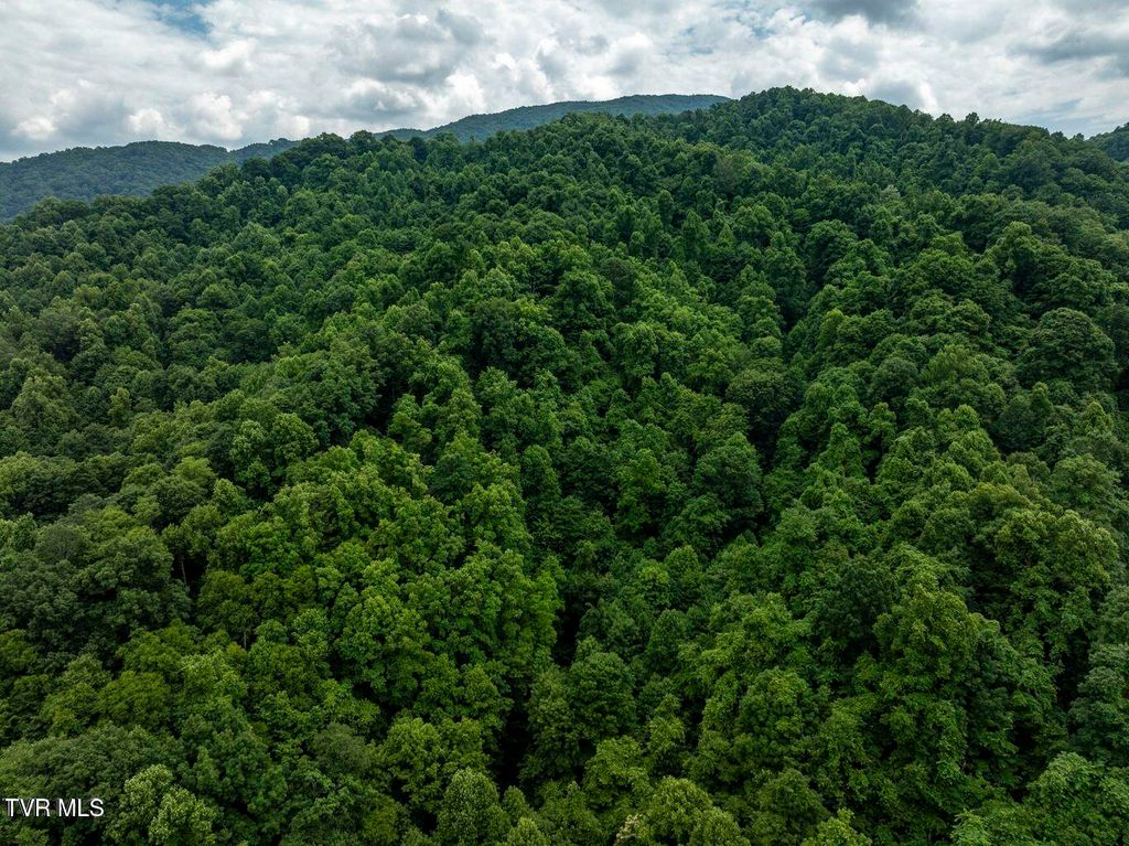 Photo of Tbd Whitehead Hollow Road, Roan Mountain, TN 37687 (MLS # 9985814)