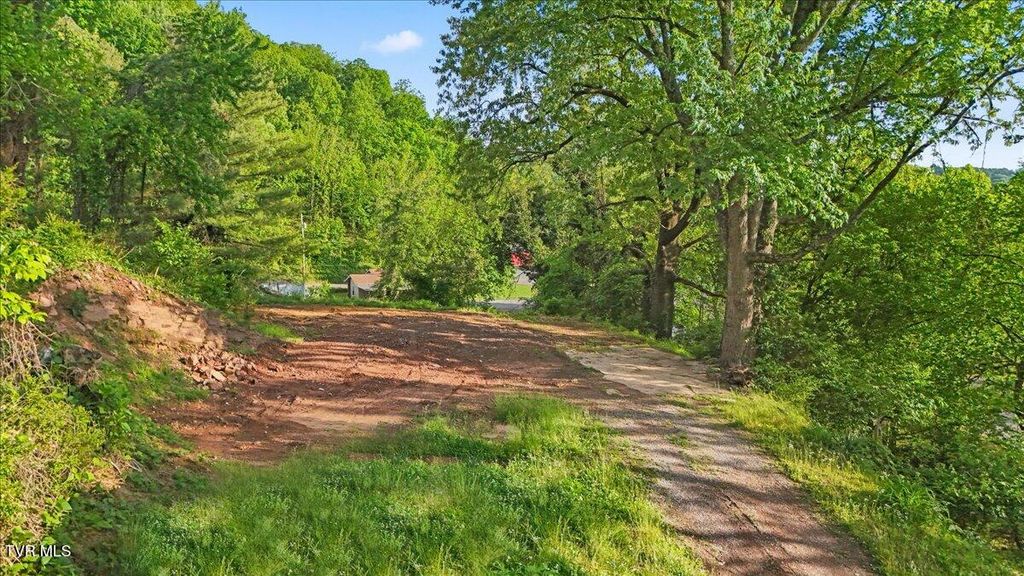 Photo of 112 Grant Parlier Road, Elizabethton, TN 37643 (MLS # 9994886)