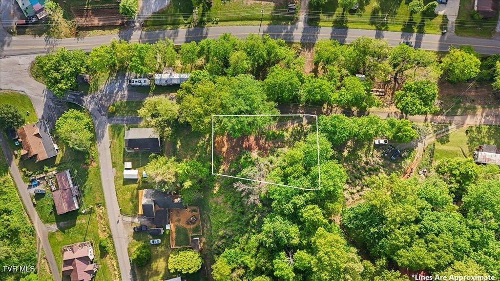 Photo of 112 Grant Parlier Road, Elizabethton, TN 37643 (MLS # 9994886)
