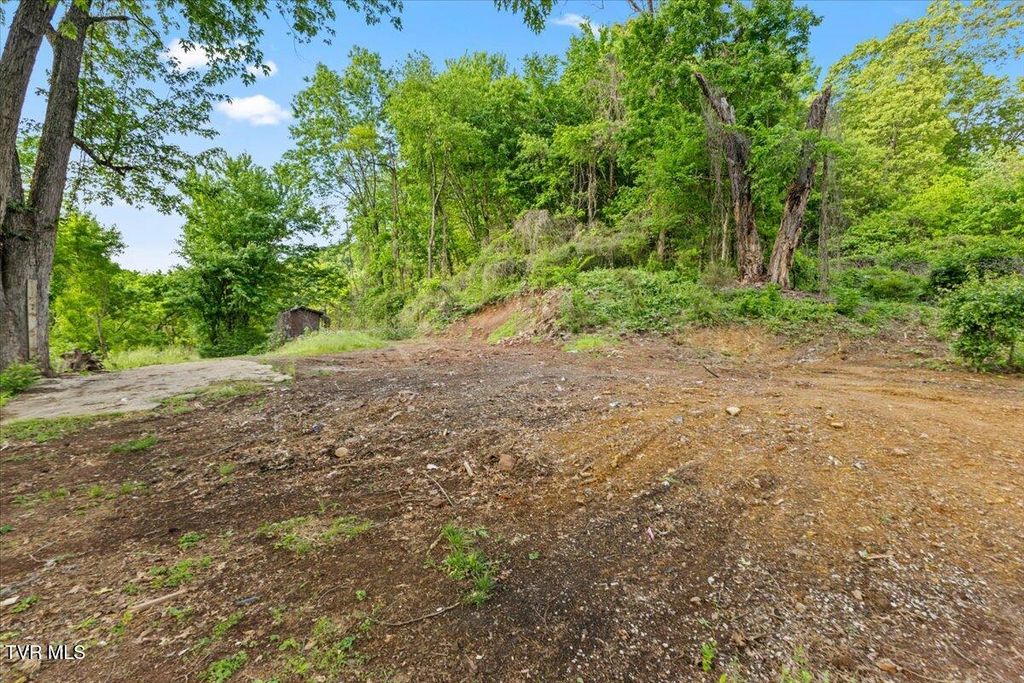 Photo of 112 Grant Parlier Road, Elizabethton, TN 37643 (MLS # 9994886)