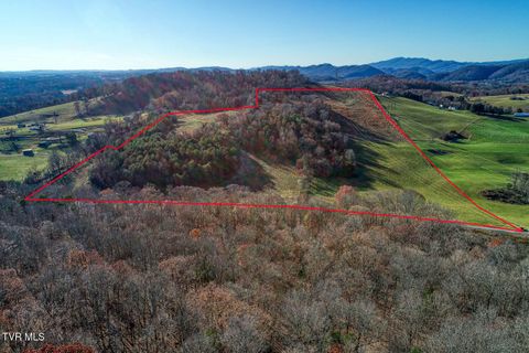 Vacant Land For Sale - TBD Chestnutt Town Road<br/> Rogersville, TN 37857
