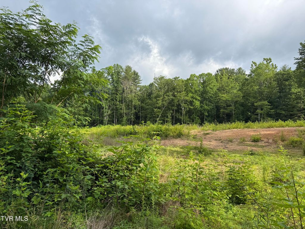 Photo of Tbd Rhea Lane, Mountain City, TN 37683 (MLS # 9996681)