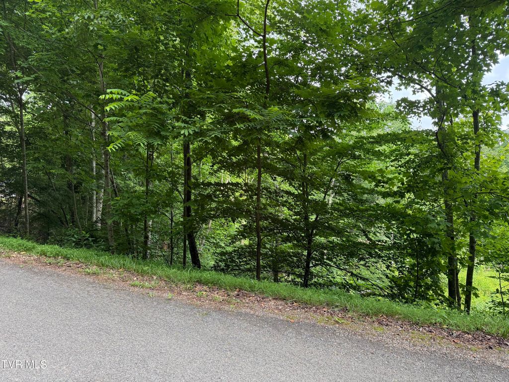 Photo of Tbd Rhea Lane, Mountain City, TN 37683 (MLS # 9996681)