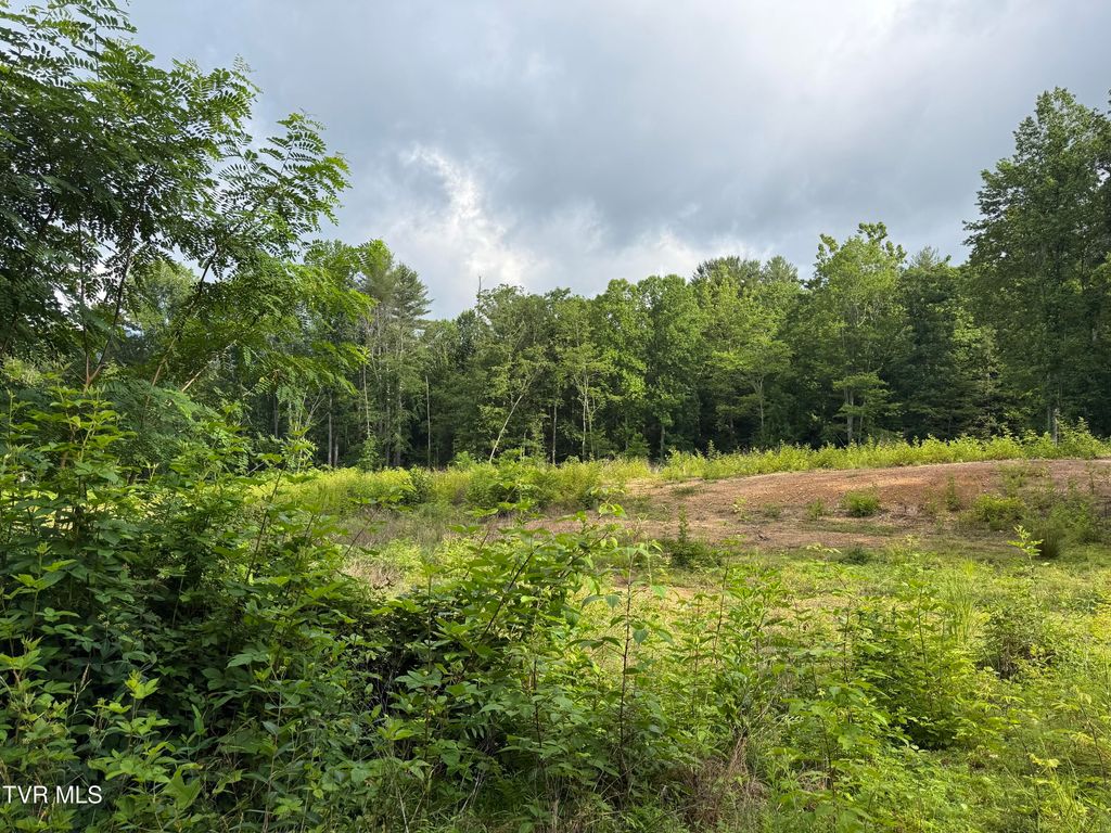 Photo of Tbd Rhea Lane, Mountain City, TN 37683 (MLS # 9996681)