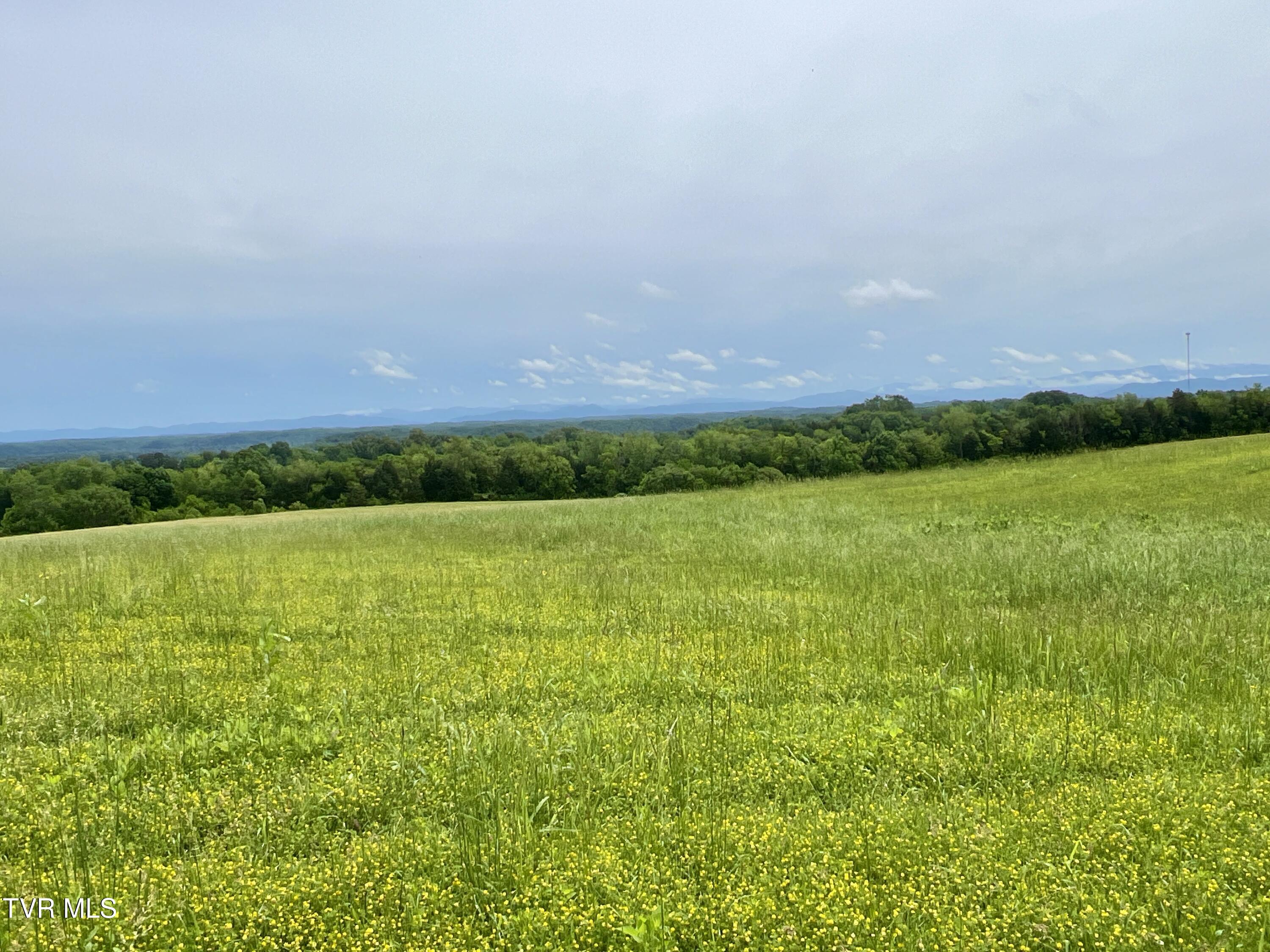 58/Ac Tbd River View Drive #2, Morristown, Tennessee image 2