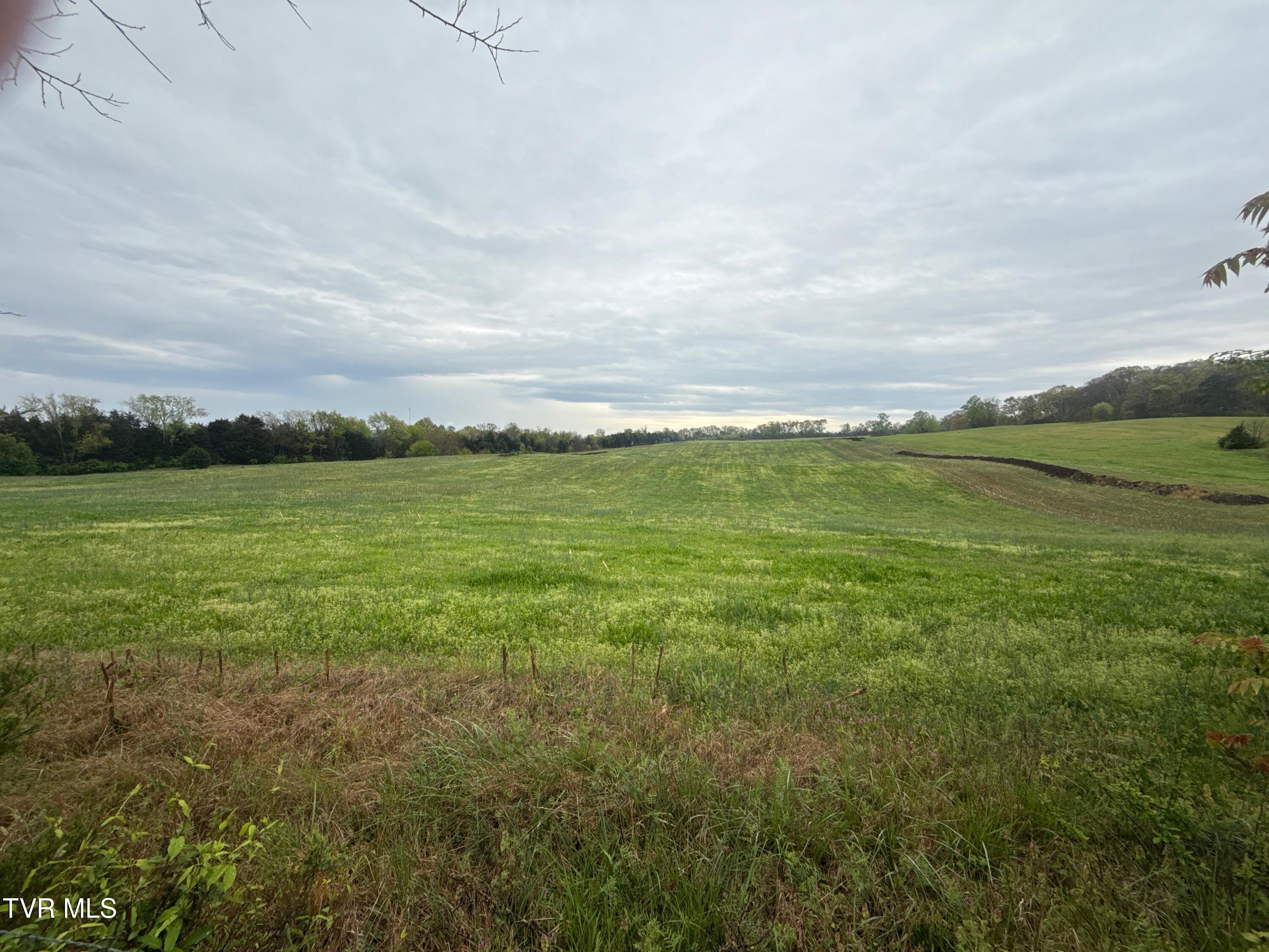 58/Ac Tbd River View Drive #2, Morristown, Tennessee image 4
