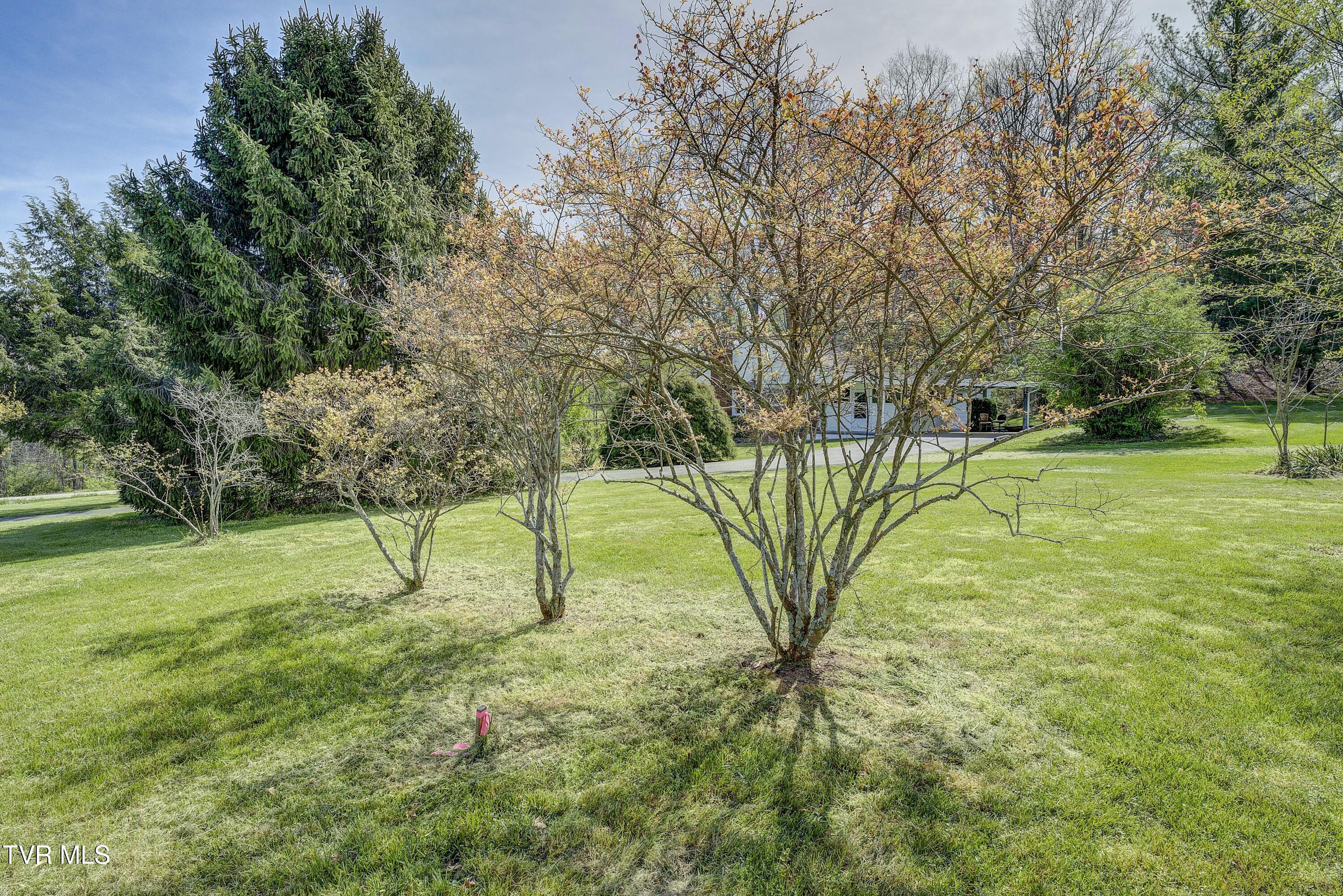 100 Fairview Circle, Jonesborough, Tennessee image 40
