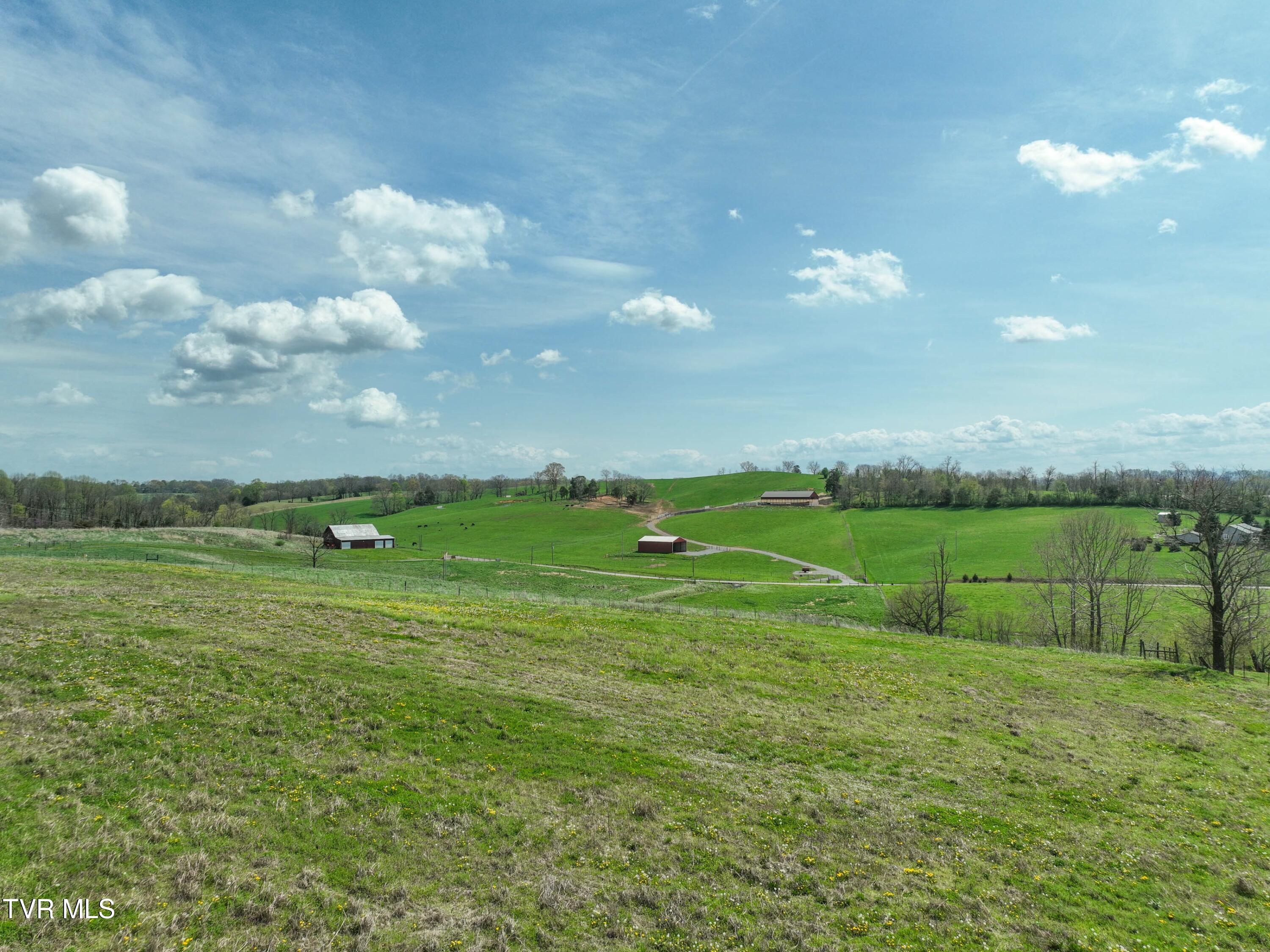 3250 Old Ducktown Road, Limestone, Tennessee image 47