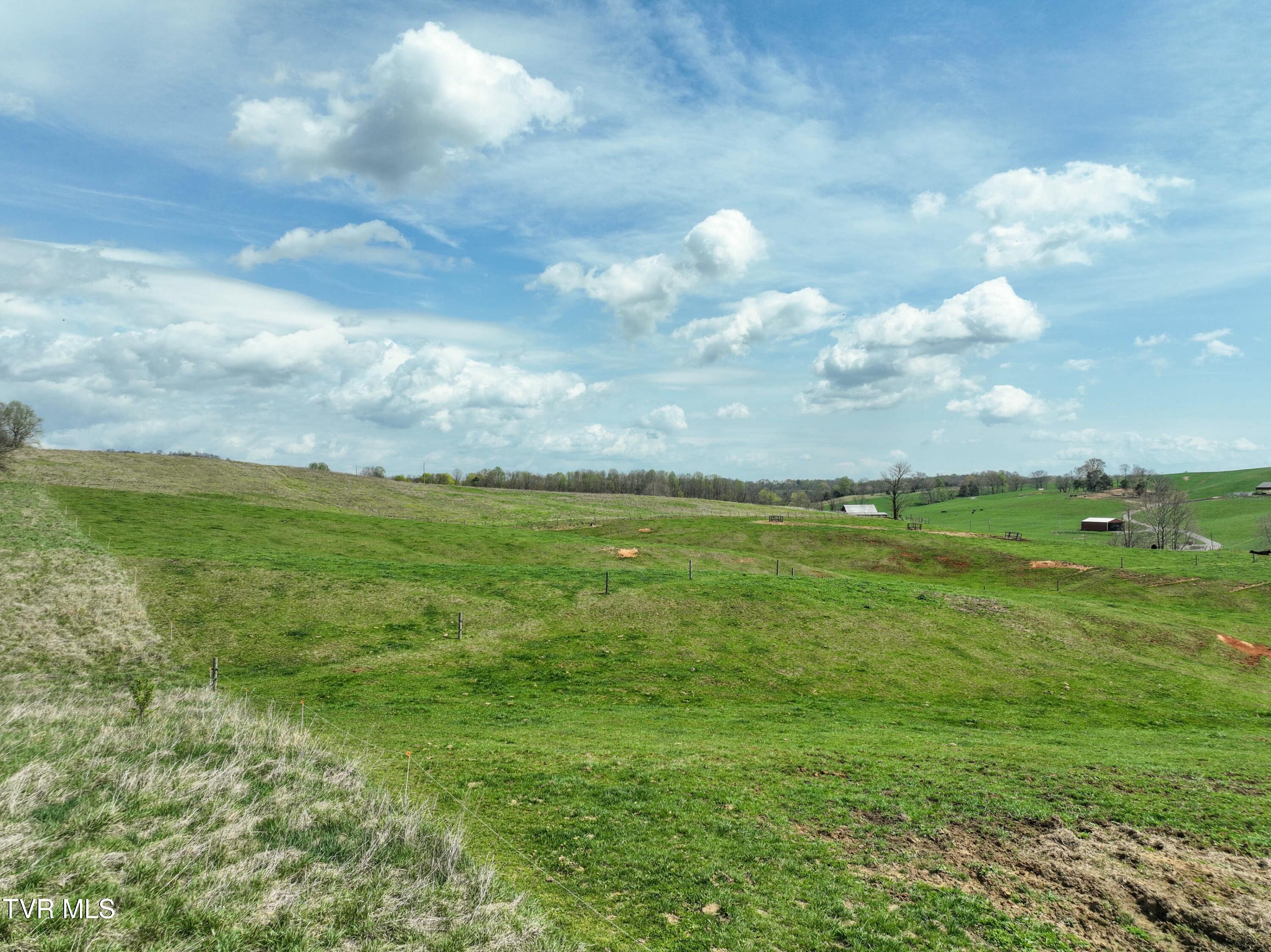 3250 Old Ducktown Road, Limestone, Tennessee image 41