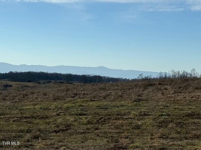 3250 Old Ducktown Road, Limestone, Tennessee image 11