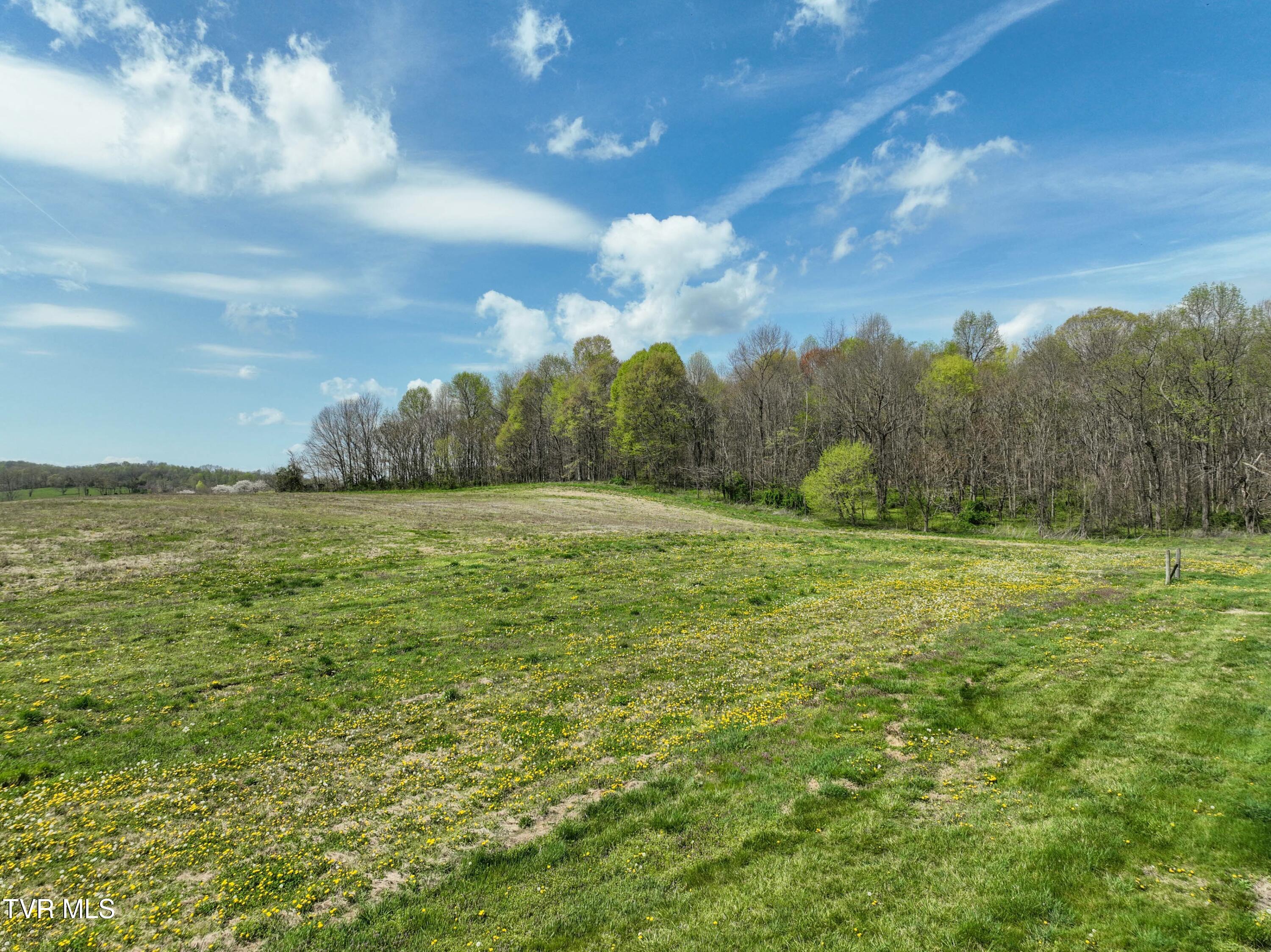 3250 Old Ducktown Road, Limestone, Tennessee image 45