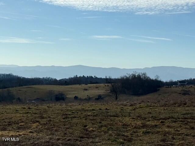 3250 Old Ducktown Road, Limestone, Tennessee image 10