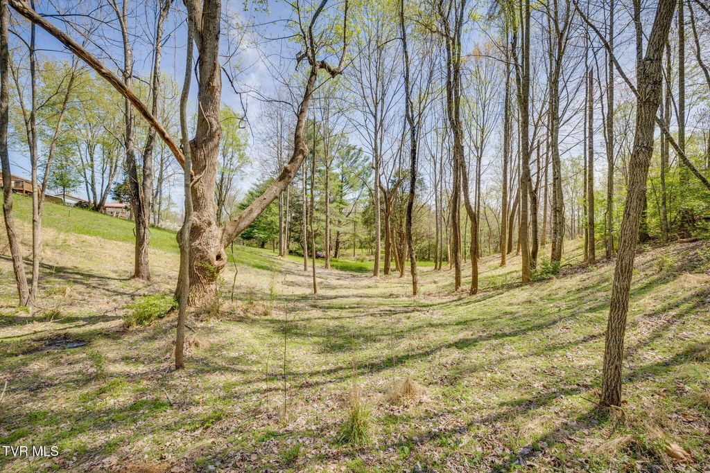 Photo of Tbd Chaucer Court, Johnson City, TN 37615 (MLS # 9995615)