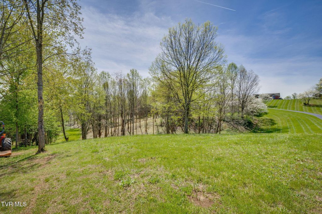 Photo of Tbd Chaucer Court, Johnson City, TN 37615 (MLS # 9995615)
