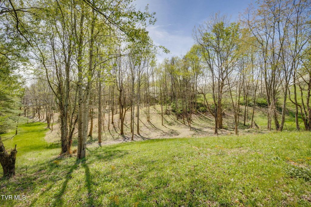 Photo of Tbd Chaucer Court, Johnson City, TN 37615 (MLS # 9995615)