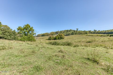 Vacant Land For Sale - TBD Yoakley Road<br/> Sullivan County, Blountville, TN 37617