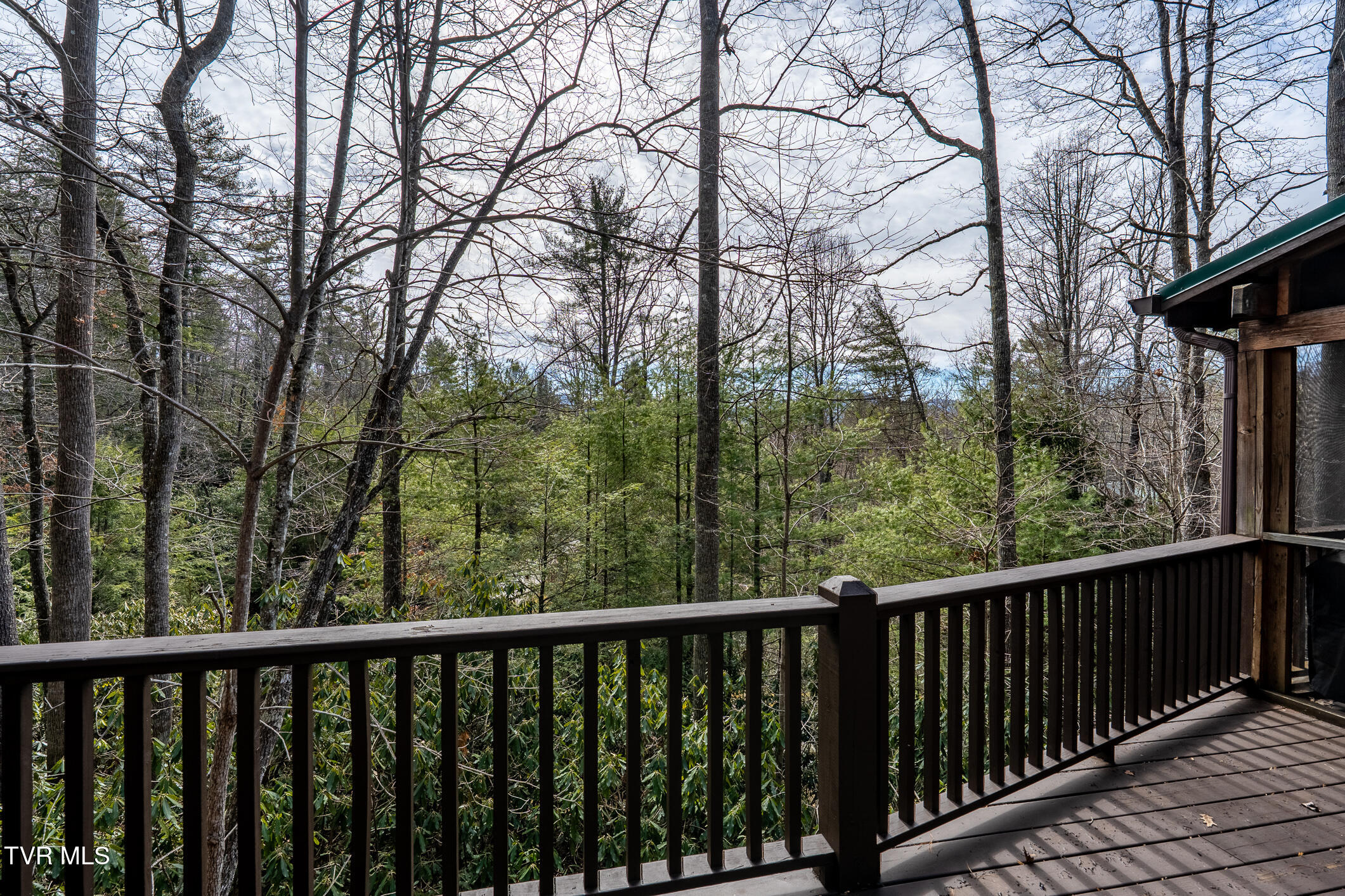 254 Ivy Wood Lane, Mountain City, Tennessee image 12