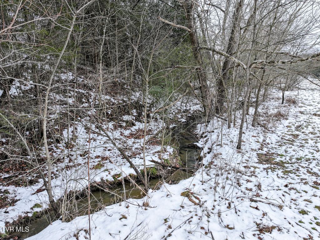 Photo of 721 Old Midway Road, Midway, TN 37809 (MLS # 9990955)