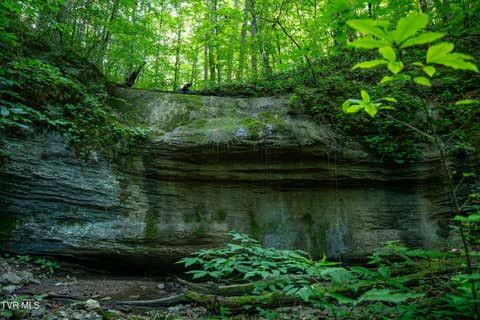 Vacant Land For Sale - 310/AC Tbd Ben Bloomer Road<br/> Sneedville, TN 37869
