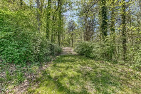 Photo of Tbd Havenmore Drive, Kingsport, TN 37663 (MLS # 9994307)