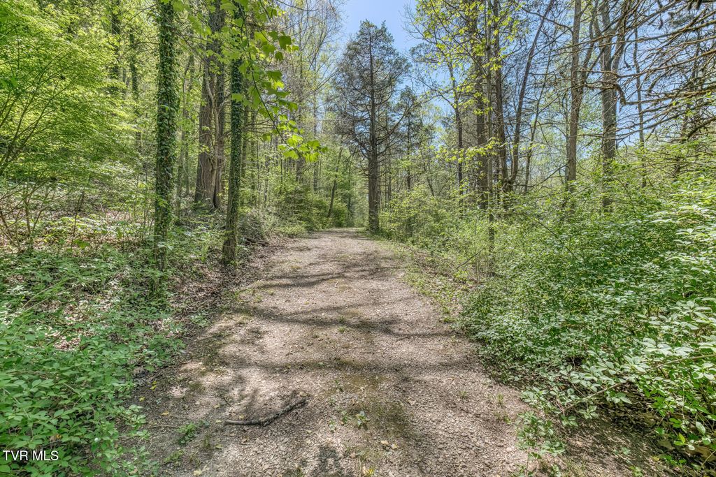 Photo of Tbd Havenmore Drive, Kingsport, TN 37663 (MLS # 9994307)