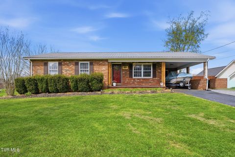 Photo of 900 Huffine Road, Johnson City, TN 37604 (MLS # 9993168)
