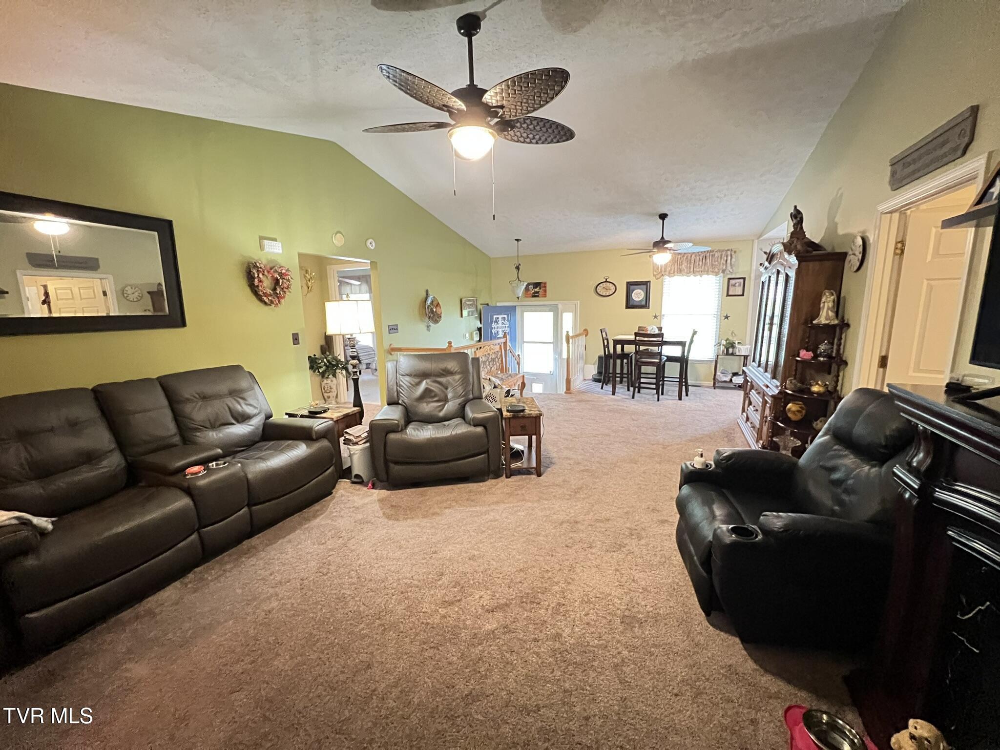 199 Valley Crest Drive, Mount Carmel, Tennessee image 38
