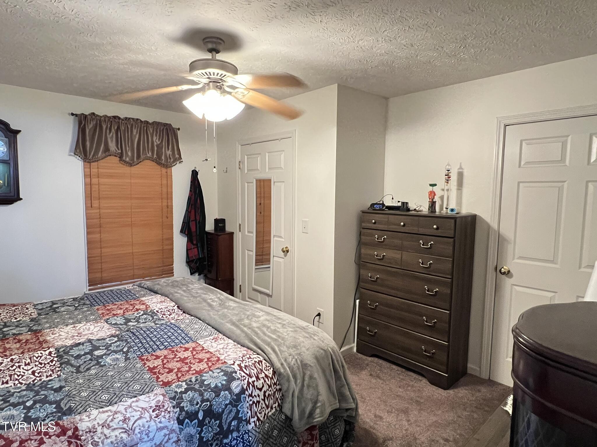 199 Valley Crest Drive, Mount Carmel, Tennessee image 16