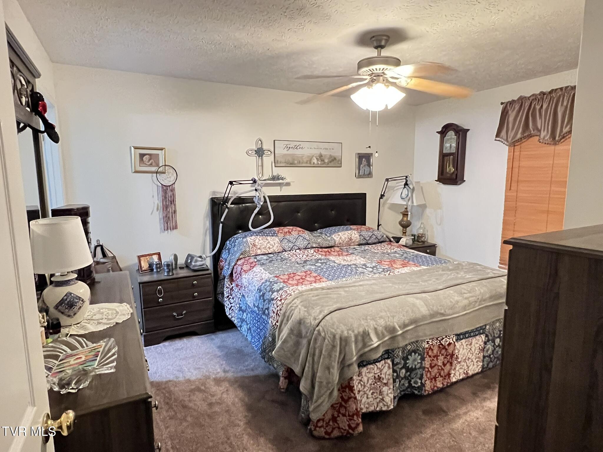199 Valley Crest Drive, Mount Carmel, Tennessee image 15