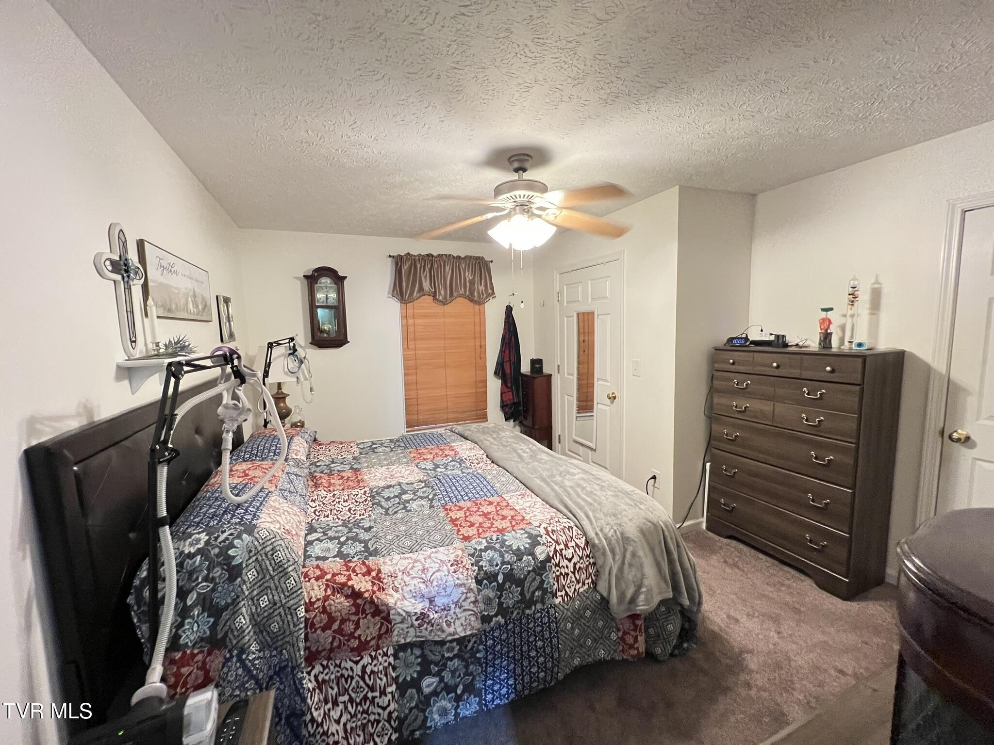 199 Valley Crest Drive, Mount Carmel, Tennessee image 21