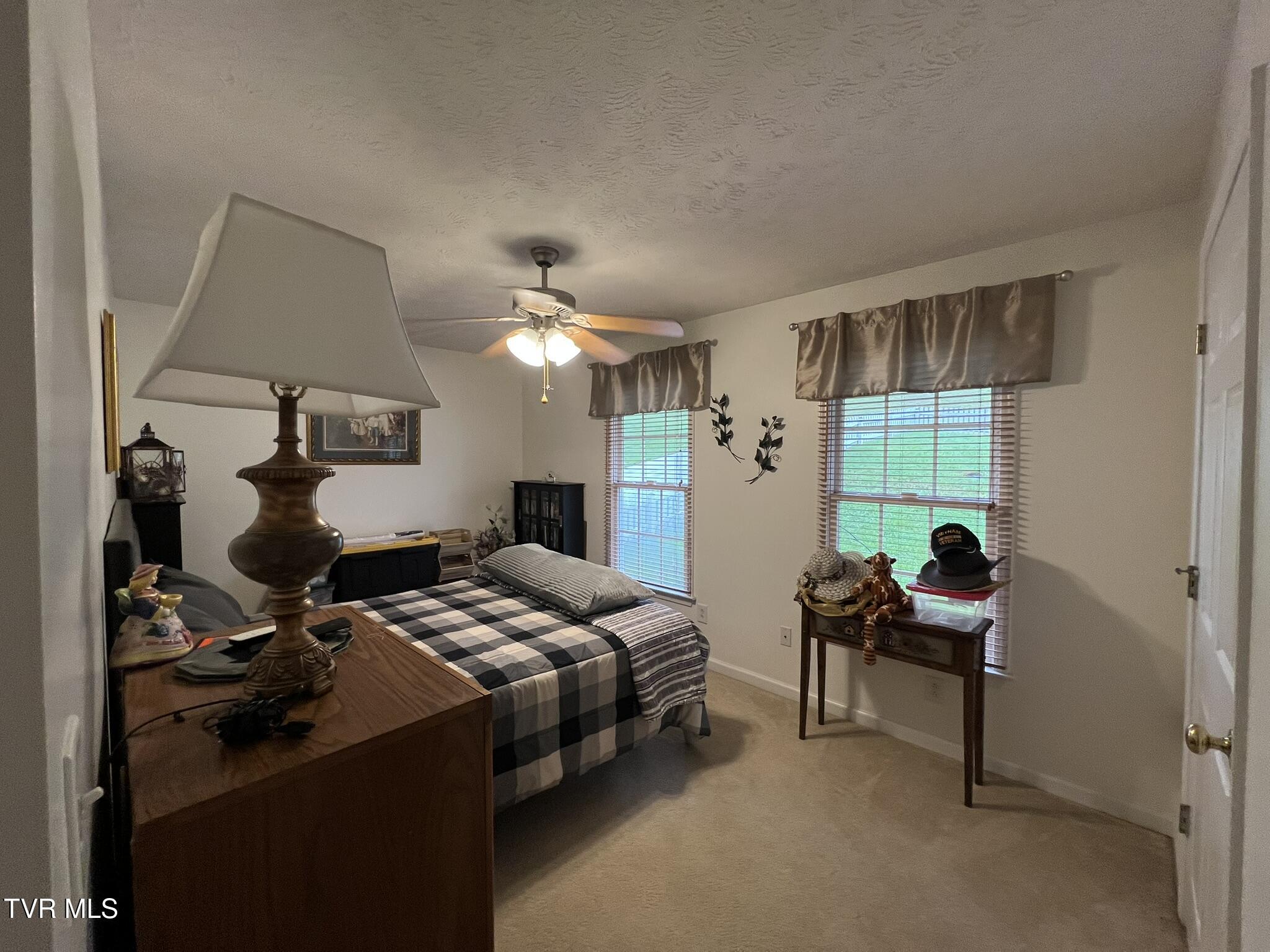 199 Valley Crest Drive, Mount Carmel, Tennessee image 33