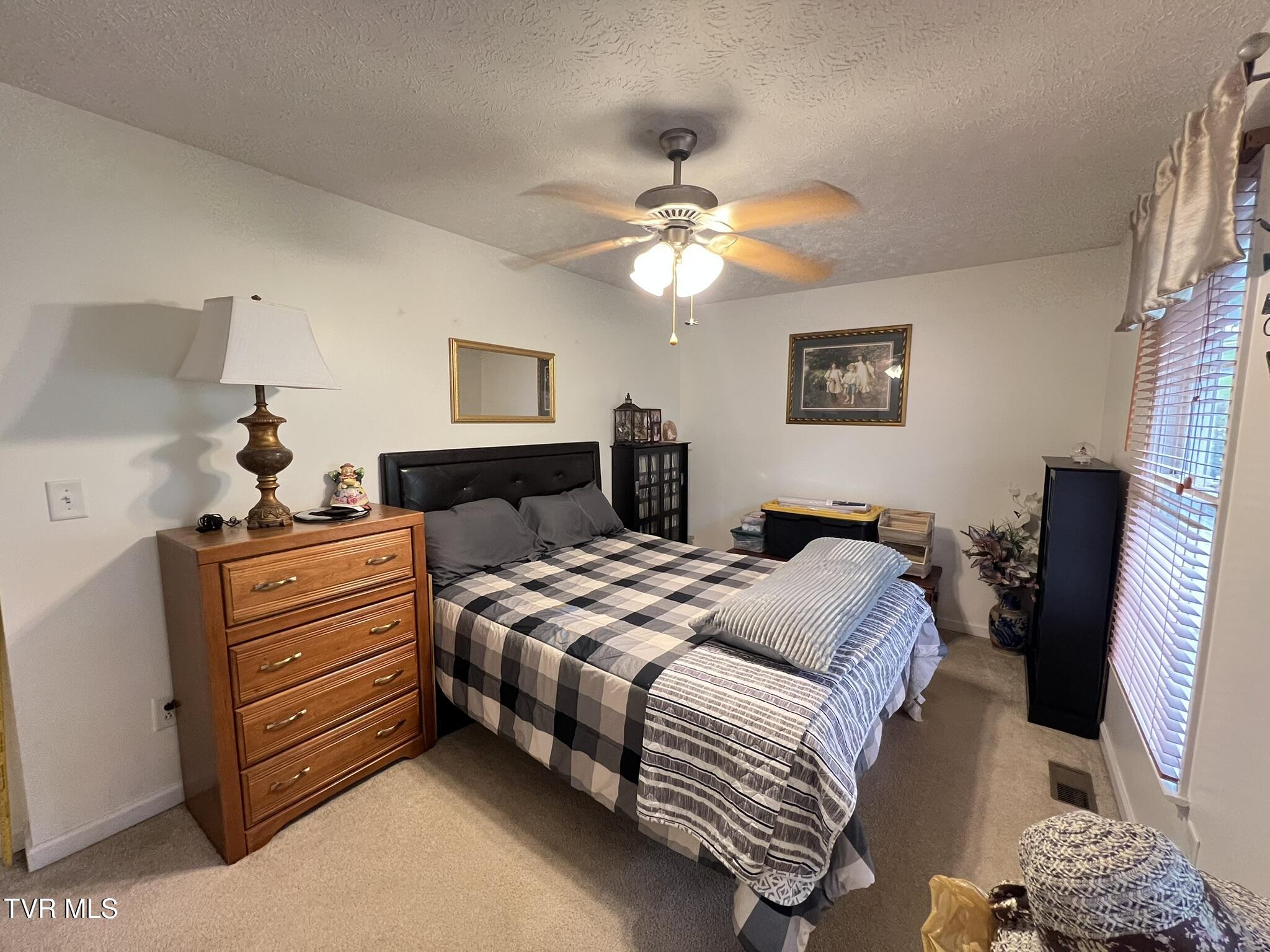 199 Valley Crest Drive, Mount Carmel, Tennessee image 34