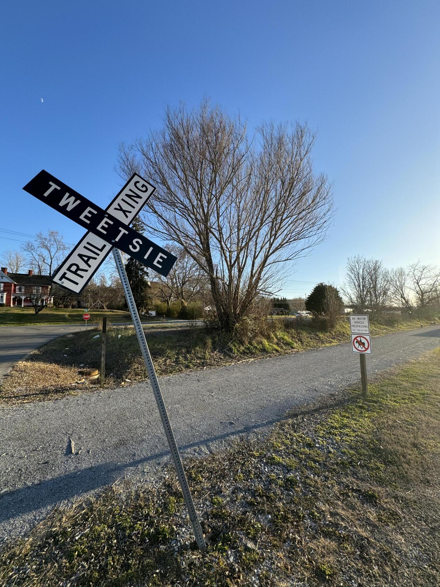 1903 G Street, Elizabethton, Tennessee image 6